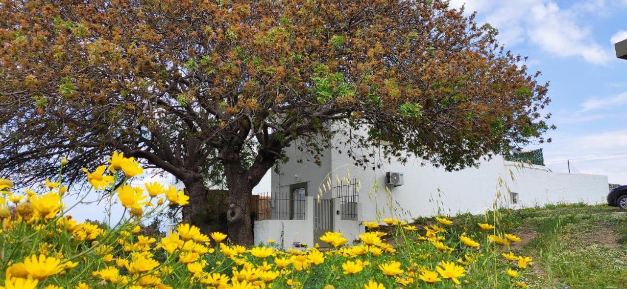 Traditional Suburbs Maisonette Κως Πόλη Εξωτερικό φωτογραφία