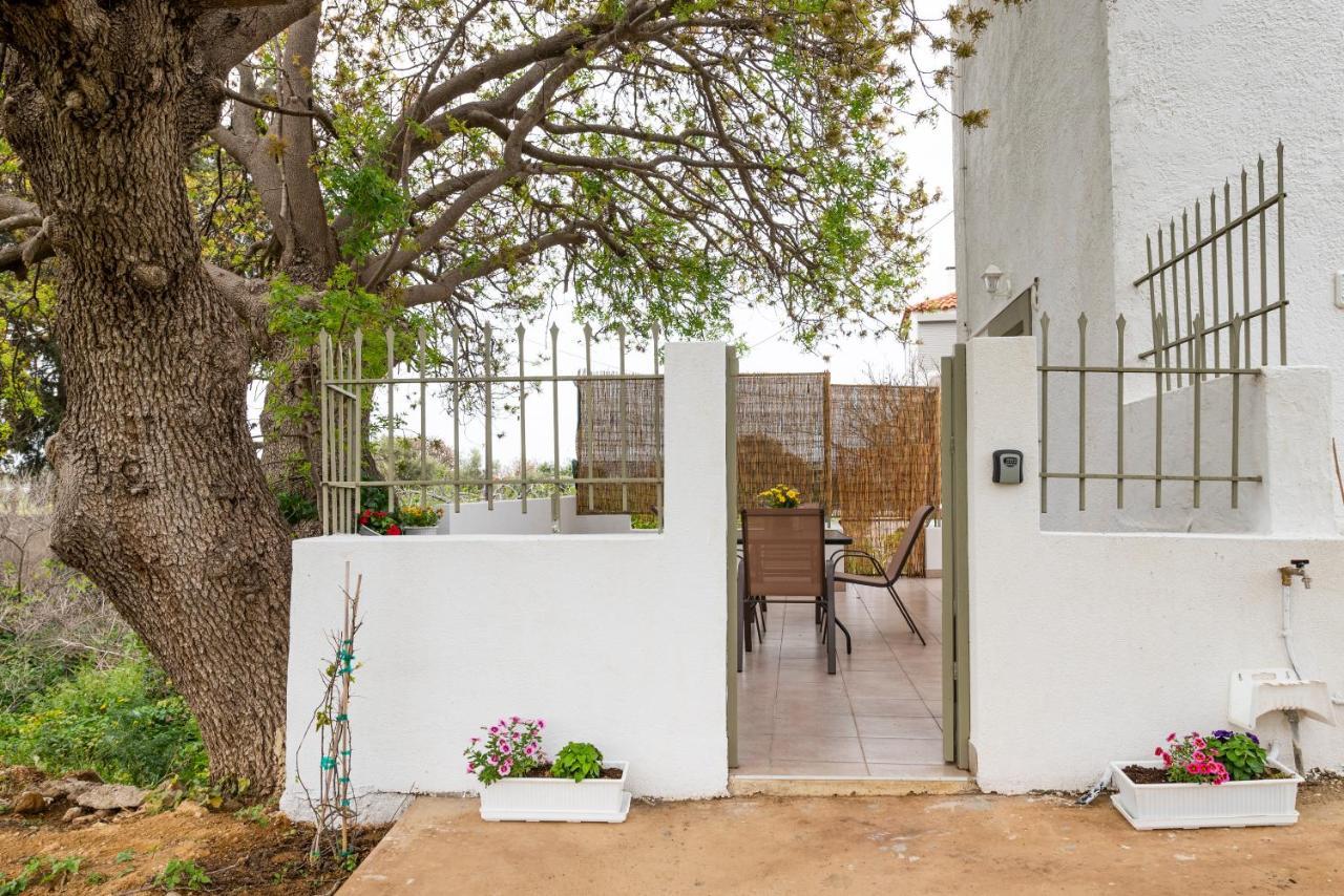 Traditional Suburbs Maisonette Κως Πόλη Εξωτερικό φωτογραφία